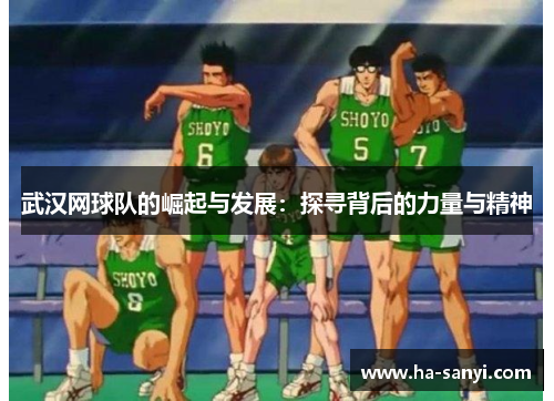 武汉网球队的崛起与发展：探寻背后的力量与精神
