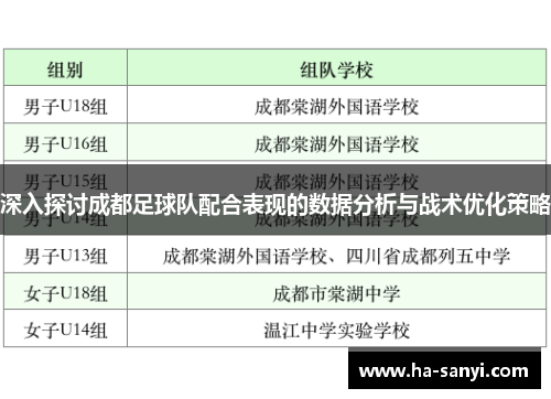 深入探讨成都足球队配合表现的数据分析与战术优化策略